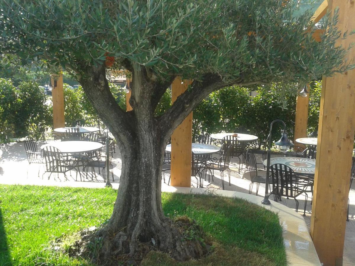 Hotel Villa Aurora Λατίνα Εξωτερικό φωτογραφία